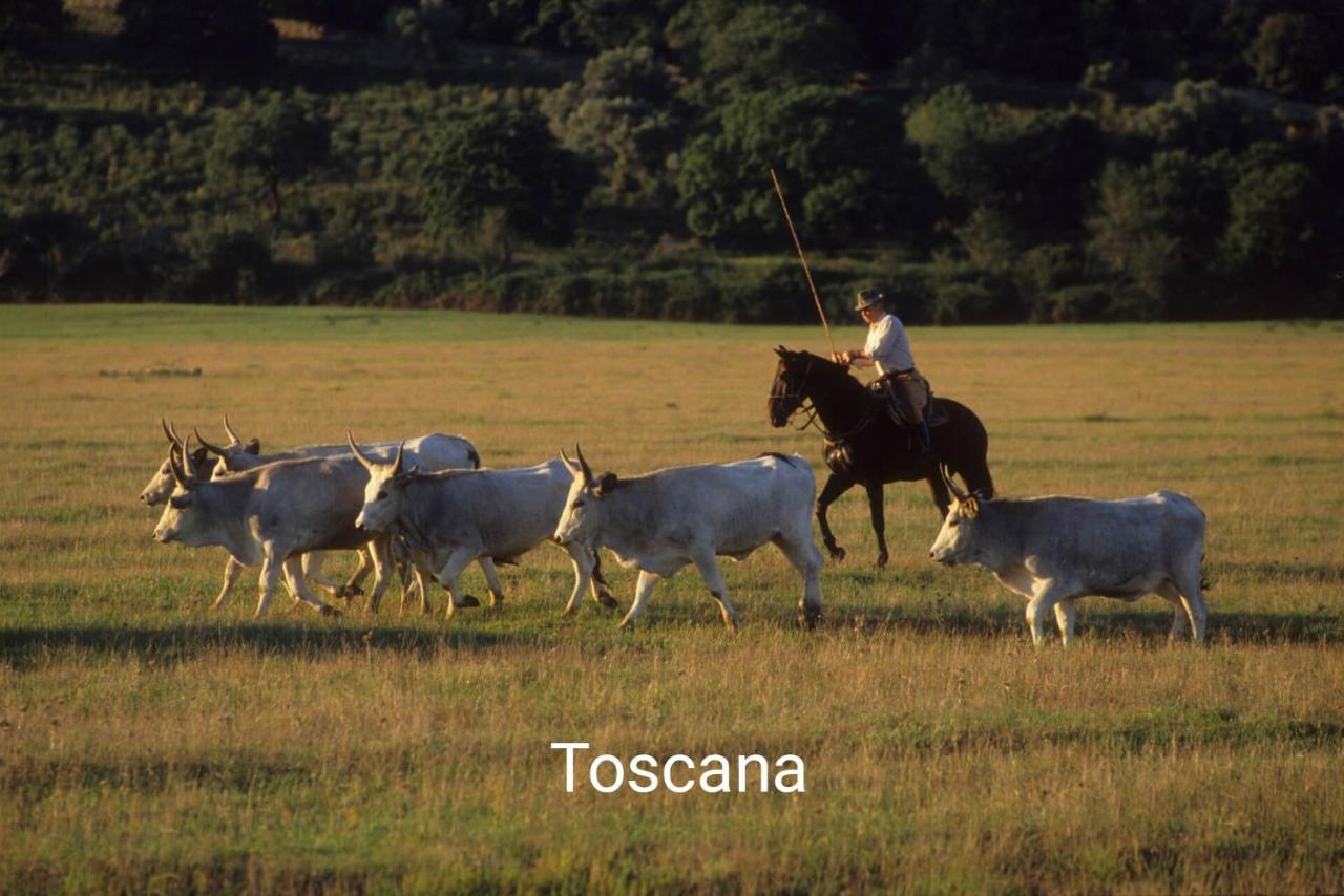 Appartamento La Libellula Grosseto Dış mekan fotoğraf