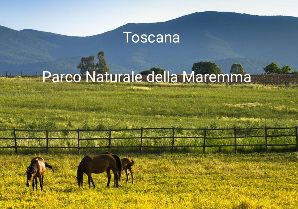 Appartamento La Libellula Grosseto Dış mekan fotoğraf